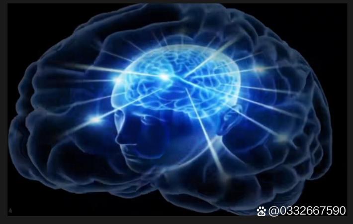 星二代低调入学名校,父母全程陪护显温情 - 黑料吃瓜 星二代低调入学名校,父母全程陪护显温情